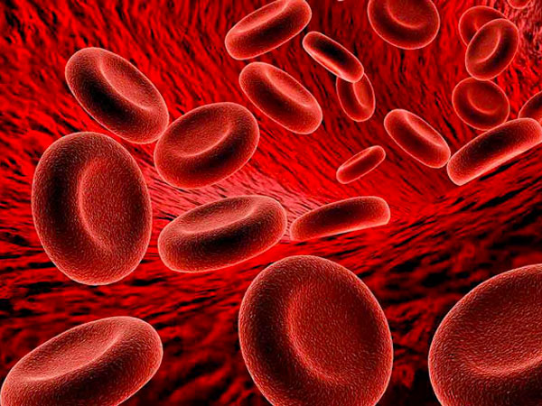 benh-thieu-ma-thieu-sat