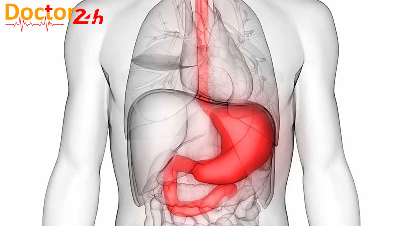 Dạ dày nằm ở vị trí nào trong cơ thể? 2 da-day-o-dau