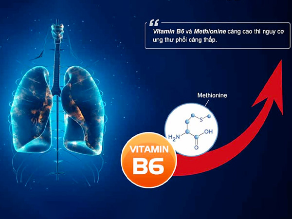 Vitamin B6 liên quan đến nguy cơ ung thư phổi dưới 1 vitaminB6