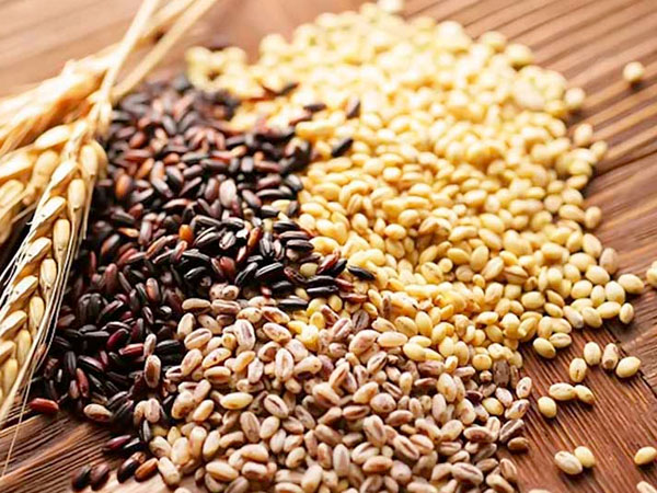 an-nhieu-ngu-coc-nguyen-hat-giup-han-che-ung-thu-gan