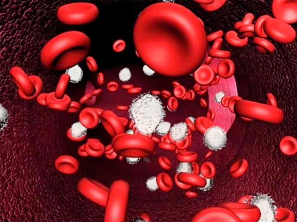 Giảm Bạch Cầu Trung Tính 1 giam-bach-cau-trung-tinh