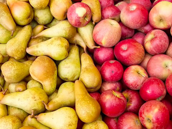 vitamin-va-khoang-chat