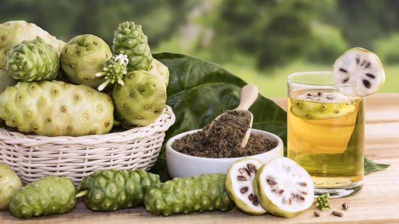 Trái nhàu ngâm rượu với đường phèn trị bệnh gì