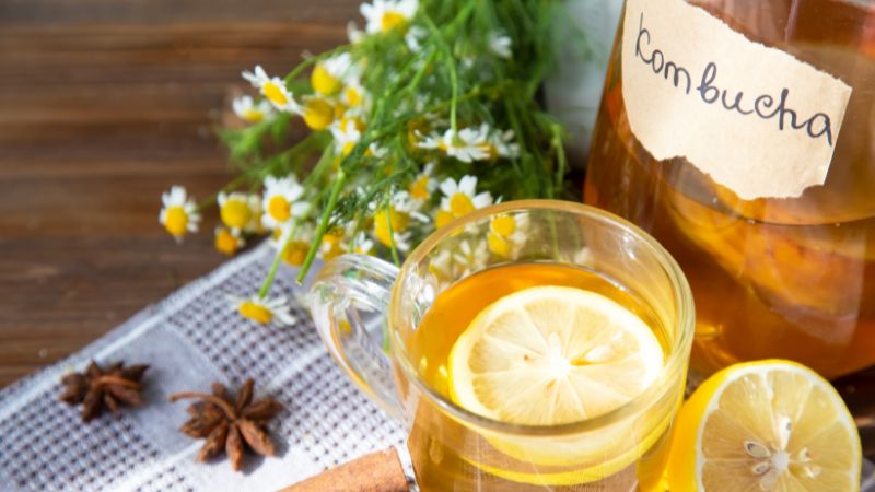 trà kombucha trái cây