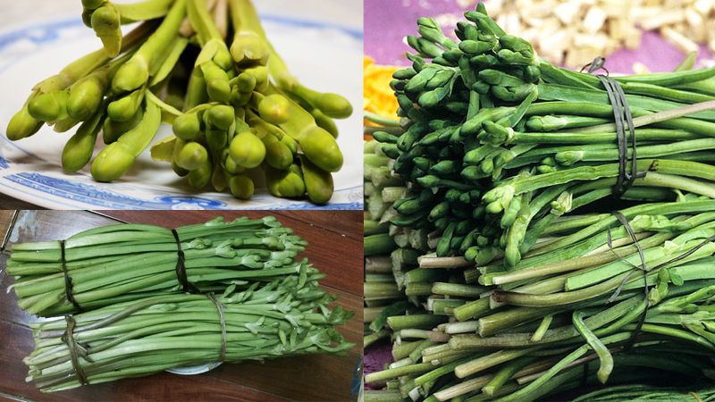rau tai tượng có tác dụng gì