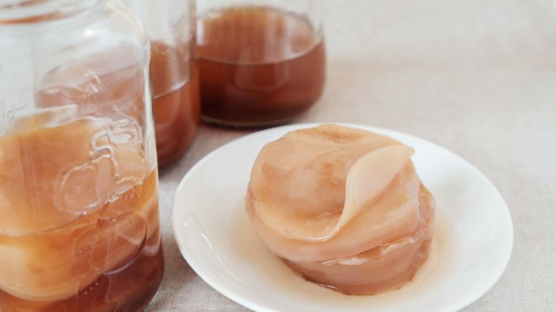 nuôi con giấm gạo