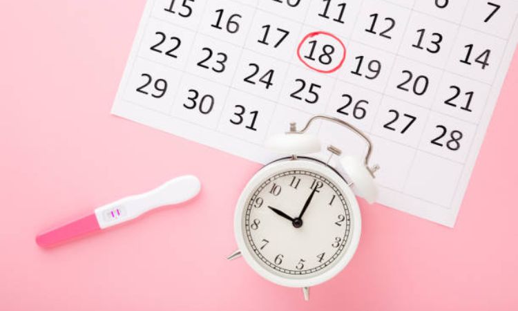 Cách tính ngày rụng trứng