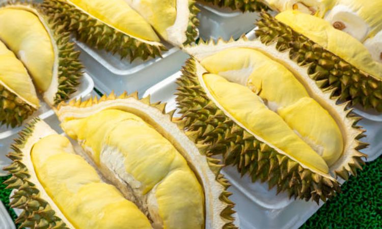 sầu riêng