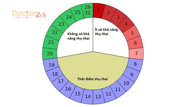 Khả năng thụ thai trong chu kỳ kinh nguyệt