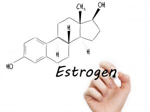 Chất chuyển hóa phụ trong estrogen 10 Estrogen