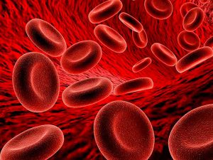 benh-thieu-ma-thieu-sat