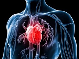 benh-tim-mach