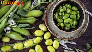 Vitamin và chất khoáng trong Đậu tương - Đỗ răng ngựa - Đỗ xanh 25 dau-rang-ngua