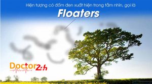 dom-den trong tam nhin