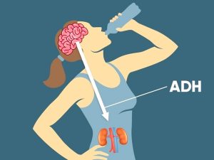 hoi-chung-tiet-Hormon