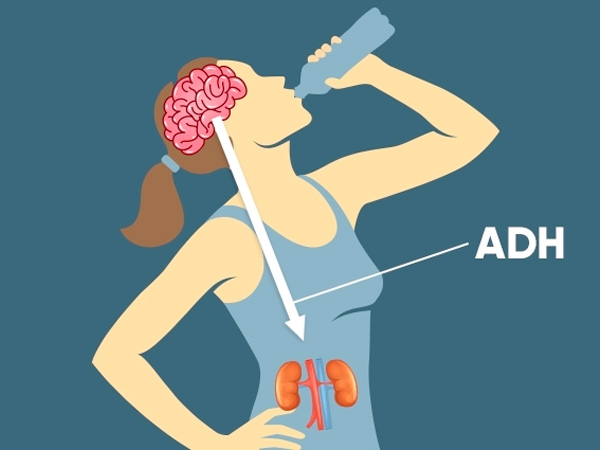 hoi-chung-tiet-Hormon