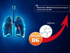 Vitamin B6 liên quan đến nguy cơ ung thư phổi dưới 16 vitaminB6
