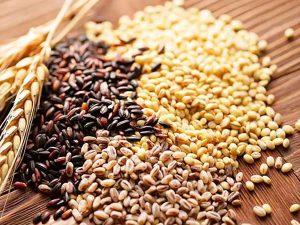 an-nhieu-ngu-coc-nguyen-hat-giup-han-che-ung-thu-gan