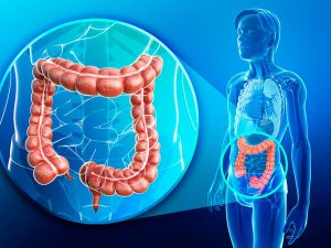 giai-doc-duong-tieu-hoa