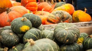 Bầu ăn bí đỏ được không?