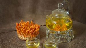 Cách pha đông trùng hạ thảo khô và tươi