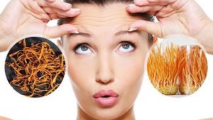 Phụ nữ uống đông trùng hạ thảo có tốt không? 11 phụ nữ uống đông trùng hạ thảo có tốt không