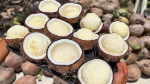 mộng dừa là gì? mộng dừa có tác dụng gì