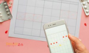 Chu kỳ kinh nguyệt ở phụ nữ