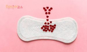 Chu kỳ kinh nguyệt và ngày rụng trứng